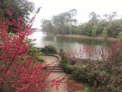 -三岔湖景区