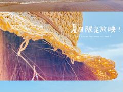 -第35届青岛国际啤酒节