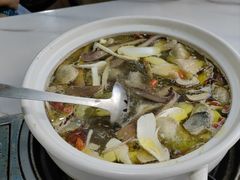 -蘑统田下·野生菌火锅