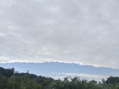 -云溪植物园
