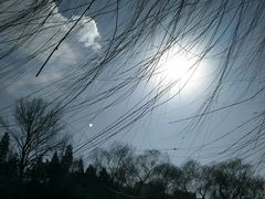 -紫竹院公园冰场