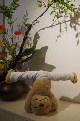 -酉嘉瑜伽YO+YOGA