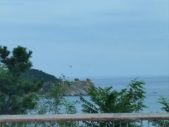 -养马岛旅游度假区