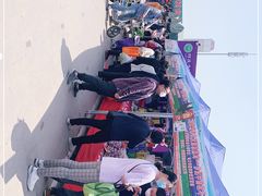 -何庄子阿米玛玛农产品批发市场