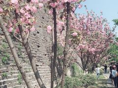 -百年尹氏汤包(湖南路狮子桥店)