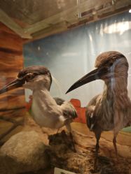 -酷嗒动物文化乐园(cutezoo西溪乐天城店)