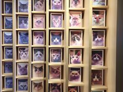 -CAT’S MEWSTAR CAFE·喵星球猫屋(晴湾咖啡店)
