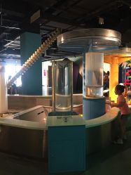 -北京科学中心儿童乐园