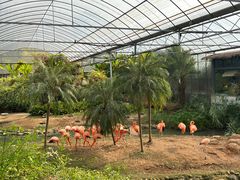 -无锡动物园·太湖欢乐园