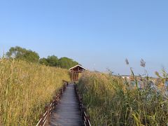 -苏州太湖湖滨国家湿地公园