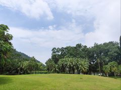-南沙蒲洲花园