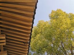 -香积寺