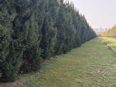 -汉长安城未央宫国家考古遗址公园