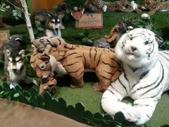 -济州岛泰迪熊博物馆