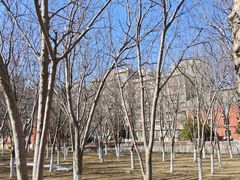 -辽宁大学(崇山校区)