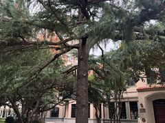 -上海安亭别墅花园酒店