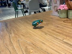 -宝珠奶酪(浦东金桥店)
