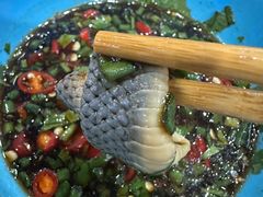 小螃蟹-金龙·打边炉(武进路店)