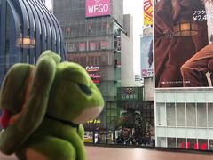 -蟹道乐(道顿堀本店)