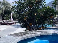 -济州山房山碳酸温泉