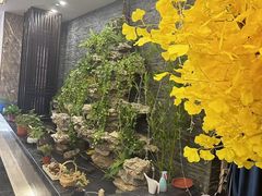 -尊足养生·影院足道·主题spa·采耳(浦江店)
