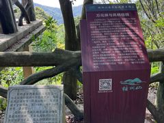 -梧桐山风景名胜区