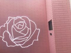-Dior迪奥(上海世茂广场店)