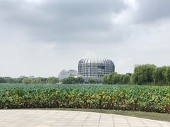 -东华大学(松江校区)