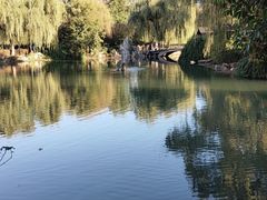 -西苑公园