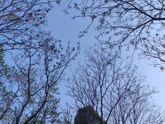 -苏州河梦清园环保主题公园