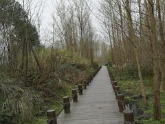 -桤木河湿地公园