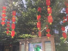 -东风公园