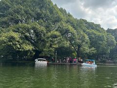 -晓港公园