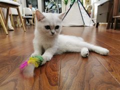 -昆山裕元花园酒店·温莎西餐厅