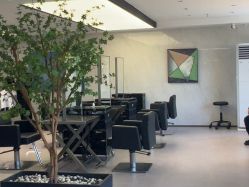 -付军剪艺JF ProSalon