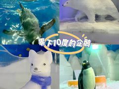 -郑州银基冰雪世界