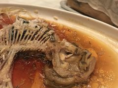 -百姓渔村(南中环店)