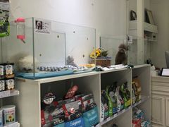 -BABYDOG宝贝狗宠物乐园(欧洲城店)