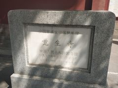 -大钟寺古钟博物馆