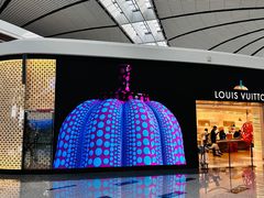 -LV路易威登(大兴国际机场店)