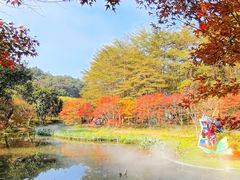-田野绿世界