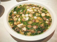 荠菜草菇烩虾仁-和记小菜(大宁店)
