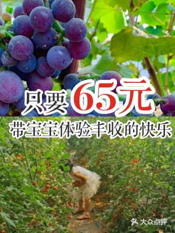 只要65元!带宝宝体验丰收的快乐
