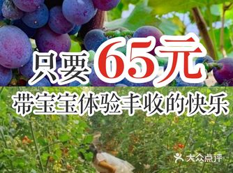 只要65元！带宝宝体验丰收的快乐