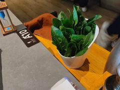 -同仁四季椰子鸡(宝安壹方城店)