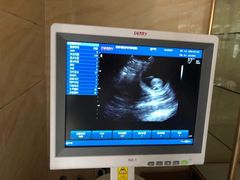 -安安宠医·安宠宠物医院