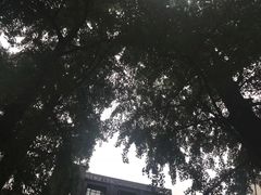 -奎星楼街