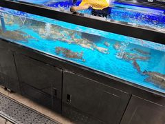 水产区-盒马鲜生(岭南新世界店)