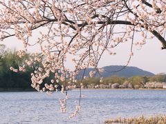 -颐和园
