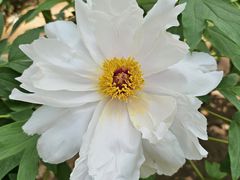 -仁和公园(顺义区)